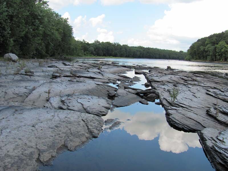 PA plant sanctuary scoured floodplain